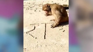 Watch Video: పెళ్లి మండపంపై వధూవరుల డ్యాన్స్‌ స్టెప్పులు.. ‘ నవ్వలేక చచ్చిపోతున్నాం’ అంటున్న నెటిజన్లు.. వైరల్ అవుతున్న వీడియో..