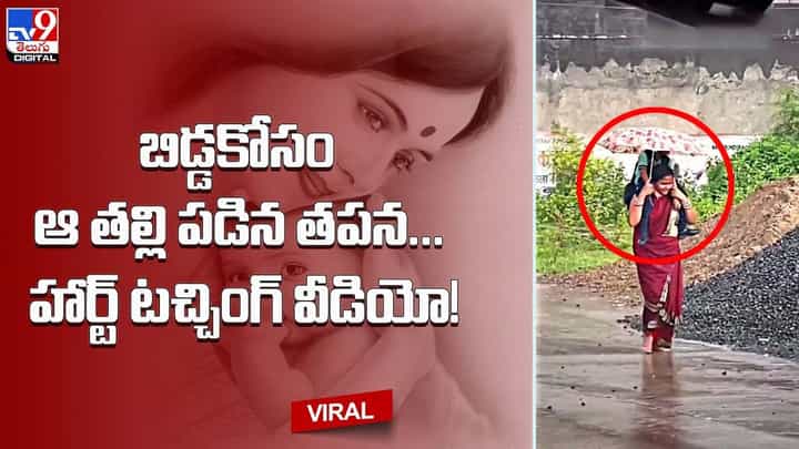 బిడ్డకోసం ఆ తల్లి పడిన తపన.. హార్ట్ టచ్చింగ్ వీడియో బిడ్డకోసం ఆ తల్లి పడిన తపన.. హార్ట్ టచ్చింగ్ వీడియో