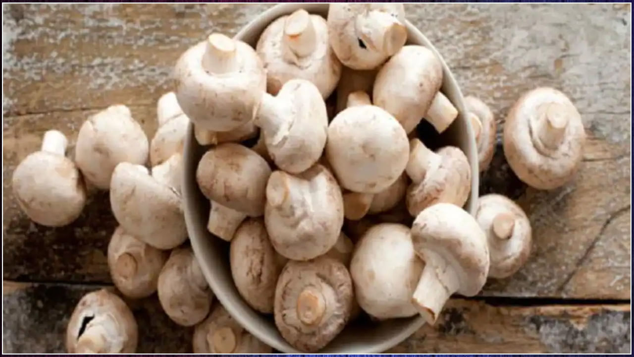 Mushroom Benefits: పుట్టగొడులతో అద్భుతమైన ప్రయోజనాలు.. ఈ ఐదు సమస్యలు దూరం