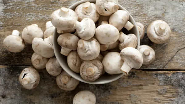 Mushroom Benefits: పుట్టగొడుగులను తినడం వల్ల ఎన్ని ప్రయోజనాలో తెలుసా..? తెలిస్తే తినకుండా ఆగలేరంతే..
