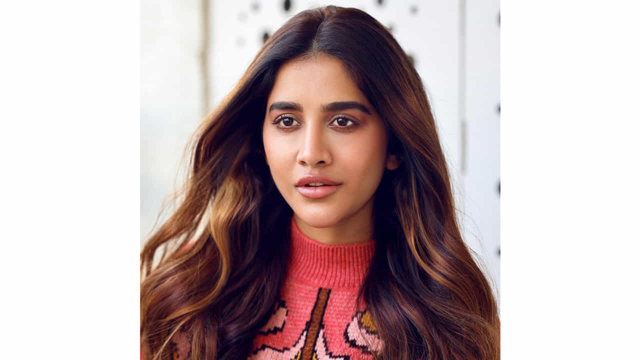 సుధీర్ బాబు హీరోగా తెరకెక్కిన ‘నన్ను దోచుకుందువటే’ సినిమాతో తెలుగు ప్రేక్షకులకు పలకరించింది అందాల తార నభా నటేష్. తొలి చిత్రంతోనే తనదైన అందం, నటనతో ఆకట్టుకున్న ఈ ముద్దుగుమ్మ అందరి దృష్టిని ఆకర్షించింది.
