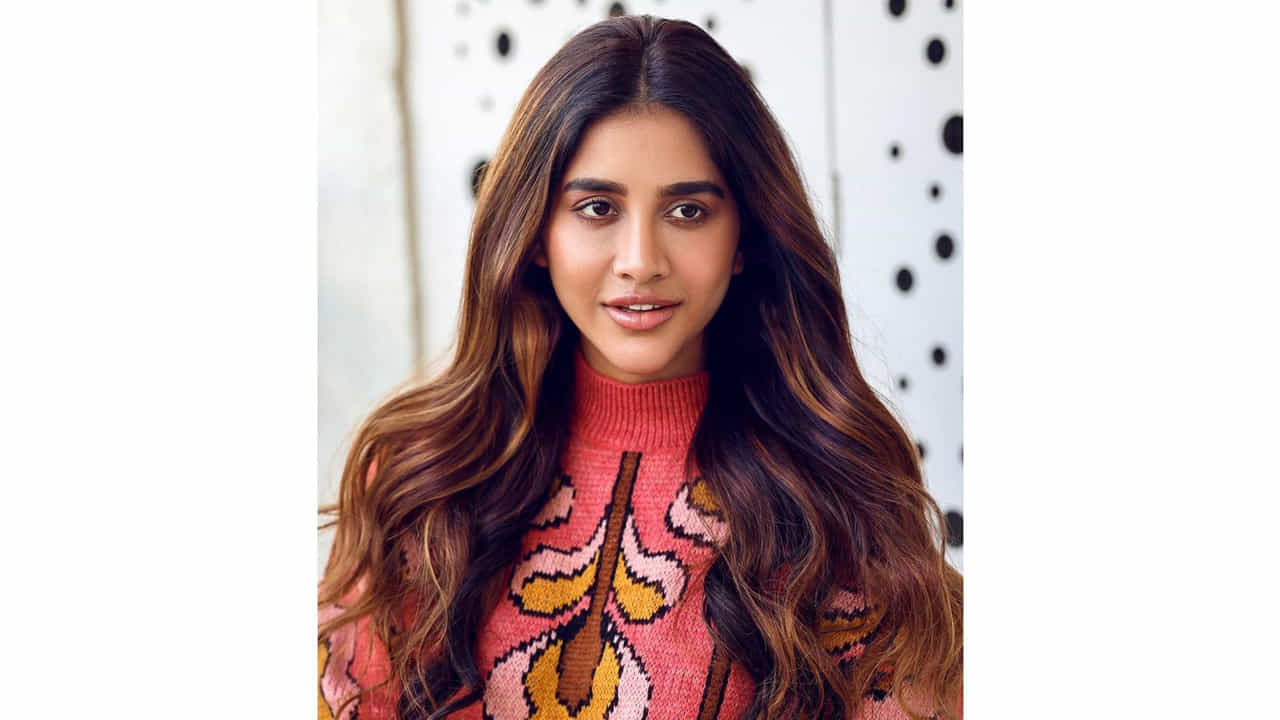 సుధీర్ బాబు హీరోగా తెరకెక్కిన ‘నన్ను దోచుకుందువటే’ సినిమాతో తెలుగు ప్రేక్షకులకు పలకరించింది అందాల తార నభా నటేష్. తొలి చిత్రంతోనే తనదైన అందం, నటనతో ఆకట్టుకున్న ఈ ముద్దుగుమ్మ అందరి దృష్టిని ఆకర్షించింది.
