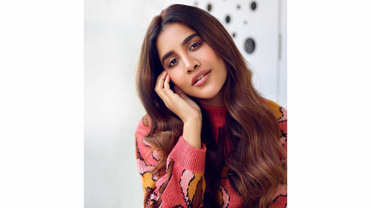 సుధీర్ బాబు హీరోగా తెరకెక్కిన ‘నన్ను దోచుకుందువటే’ సినిమాతో తెలుగు ప్రేక్షకులకు పలకరించింది అందాల తార నభా నటేష్. తొలి చిత్రంతోనే తనదైన అందం, నటనతో ఆకట్టుకున్న ఈ ముద్దుగుమ్మ అందరి దృష్టిని ఆకర్షించింది.