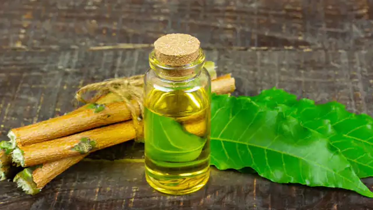 Neem Oil: చర్మ సమస్యలతో ఇబ్బందులా.. వేప నూనెతో ఇలా చేశారంటే.. రిజల్ట్ మామూలుగా ఉండదు..