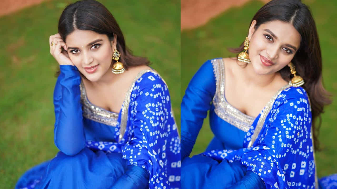 స్తుతం  పవర్ స్టార్ పవన్ కళ్యాణ్ నటిస్తోన్న   హరి హర వీరమల్లు సినిమాలో నటిస్తోంది. ఈ  సినిమా ఒక్కటే  ఈ ముద్దుగుమ్మ చేతిలో ఉంది.  తమిళ్ ఇండస్ట్రీలో ఈశ్వరన్ సినిమాతో  అరంగేట్రం చేసింది. 