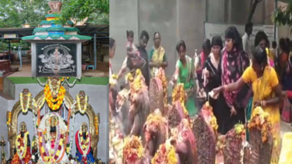 Nowluru Putta: ఈ ఆలయం హిందూ, ముస్లింల సఖ్యతకు గుర్తు.. నాగేంద్రుడిగా హిందువులు, నాగుల్ మీరాగా ముస్లింలు పూజలు.. ఎక్కడంటే..