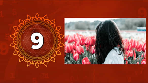Numerology: ఈ తేదీల్లో పుట్టిన అమ్మాయిలకు నాయకత్వ లక్షణాలు ఎక్కువ.. వీరి ముందు విజయం సాహో అంటుంది..
