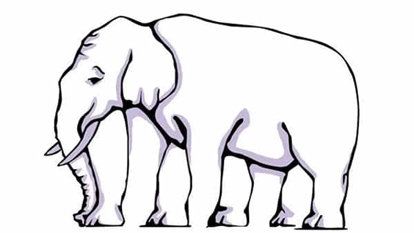 Optical Illusion: ఛాలెంజ్ స్వీకరించాలంటే దమ్ముండాలి.. ఈ ఏనుగుకి ఎన్ని కాళ్లు ఉన్నాయో చెప్పగలరా?