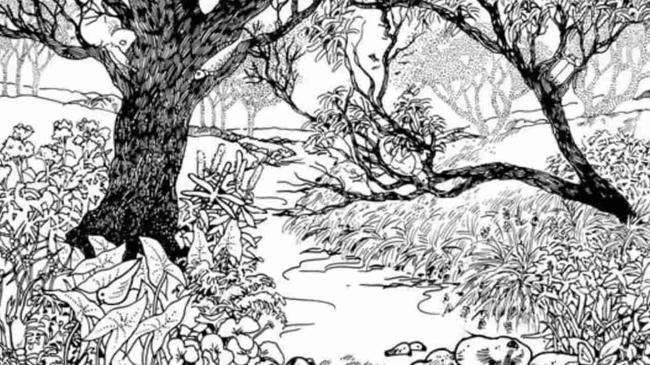 Optical illusions: ఈ చెట్ల మాటున దాగున్న ఆడ పిల్లను గుర్తుపట్టండి..తలకిందులు తపస్సు చేస్తే కానీ దొరకదు..