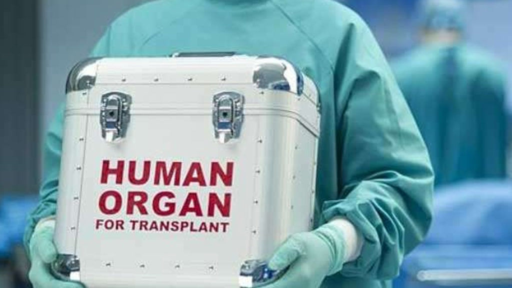 Organ Donation1