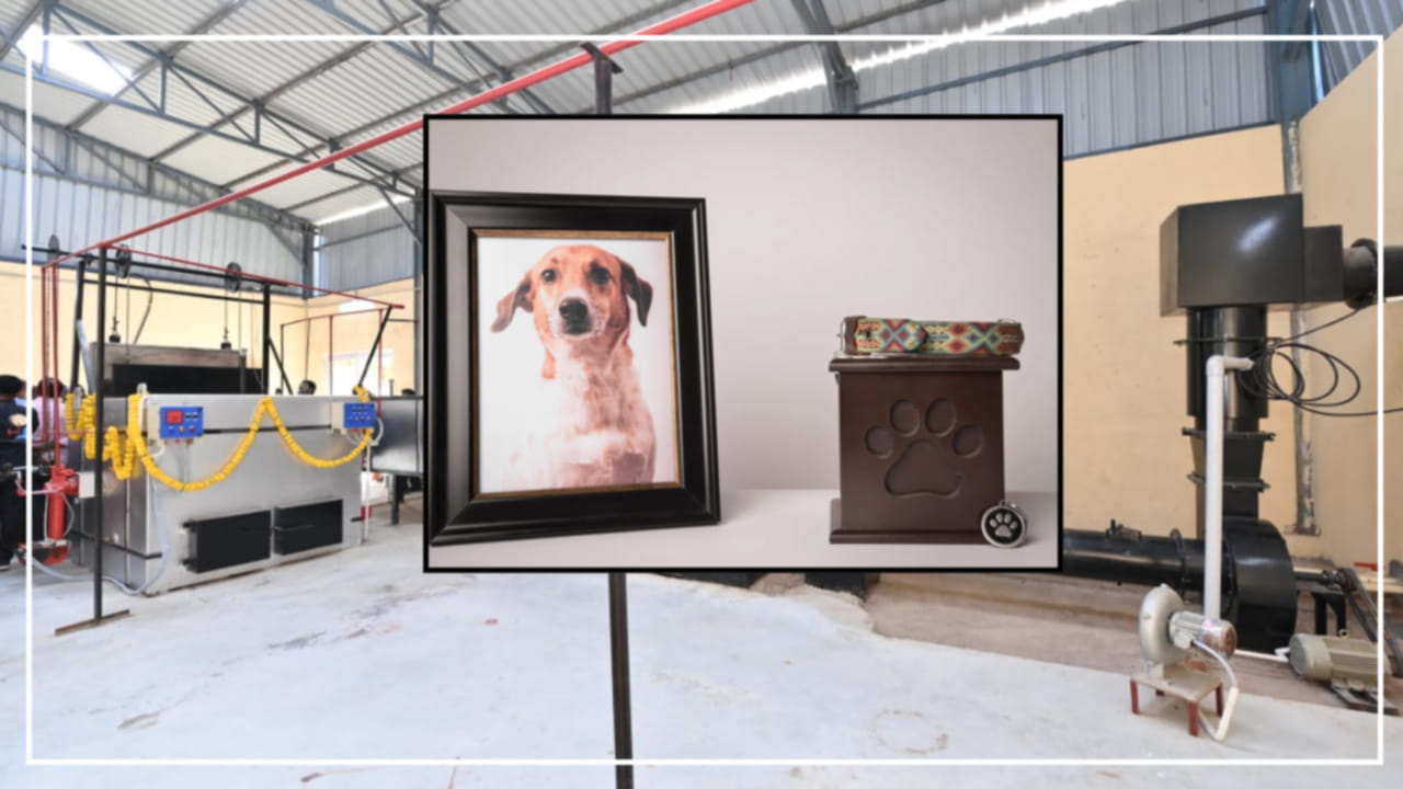 Pet Animals మీ పెంపుడు జంతువులకు శాస్త్రీయ పద్ధతిలో గౌరవ ప్రదమైన