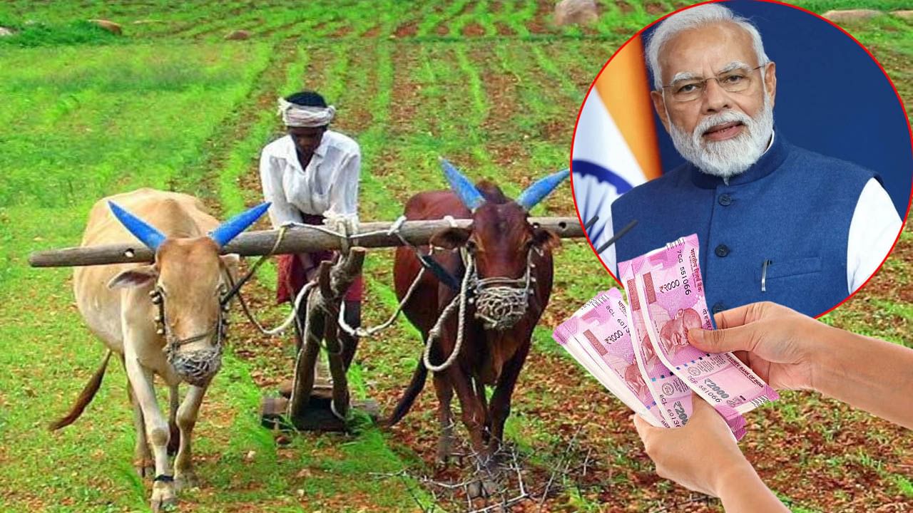 PM Kisan Maandhan Yojana: 60 ఏళ్లు పైబడినవారికి కేంద్ర ప్రభుత్వ పెన్షన్.. నెలకు రూ. 3వేలు.. ఇది రావాలంటే ఏం చేయాలో తెలుసా..