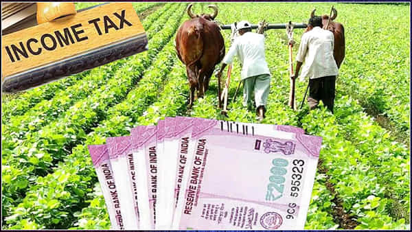 PM Kisan: ఆదాయపు పన్ను చెల్లిస్తూ పీఎం కిసాన్ ప్రయోజనం పొందుతున్నారా..? జాగ్రత్త!
