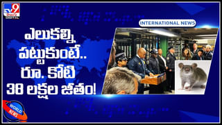 BAN electric cars: ఎలక్ట్రిక్ వాహనాల వాడకంపై నిషేధం.? గృహా విద్యుత్ వాడకంపై పరిమితులు..