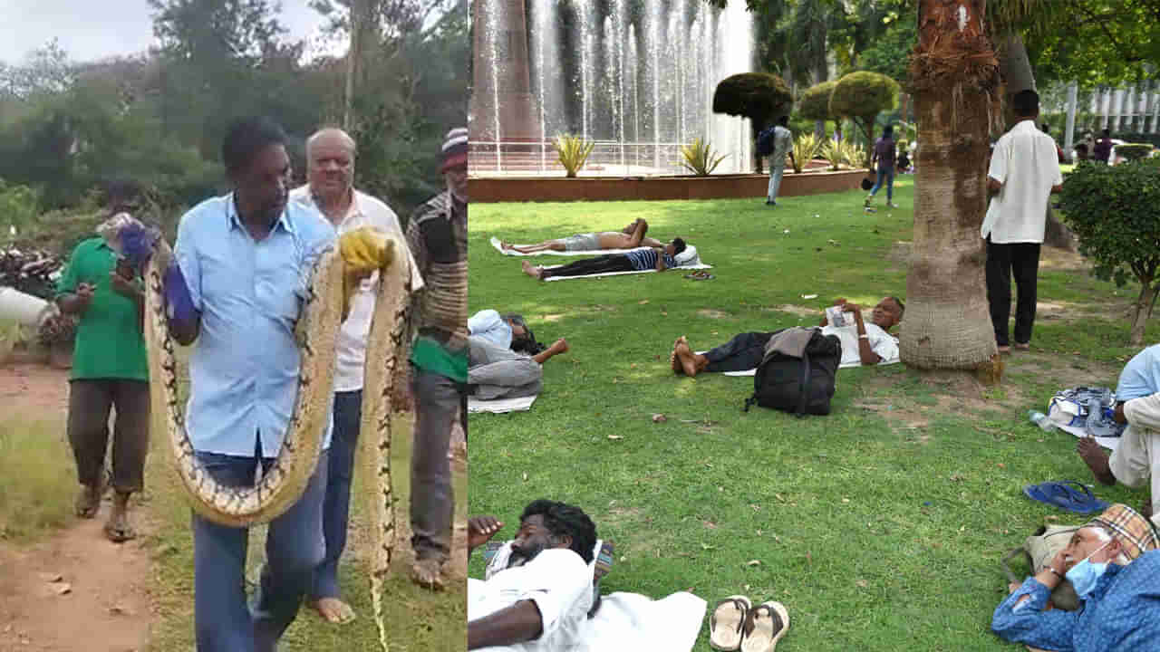 Viral: గార్డెన్‌లో సేద తీరుతున్న భక్తులు.. సడెన్‌గా కనిపించిన అనుకోని అతిథి.. దెబ్బకు హడల్..