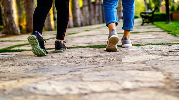 Reverse Walking: రివర్స్ వాకింగ్తో మోకాళ్లకు ఏ మేరకు బలాన్నిస్తుంది..? తాజా అధ్యయనం ఏం చెబుతోందంటే..