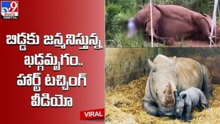 దాబాలోకి దూసుకెళ్లిన కారు !! కస్టమర్లు పరుగో పరుగు..