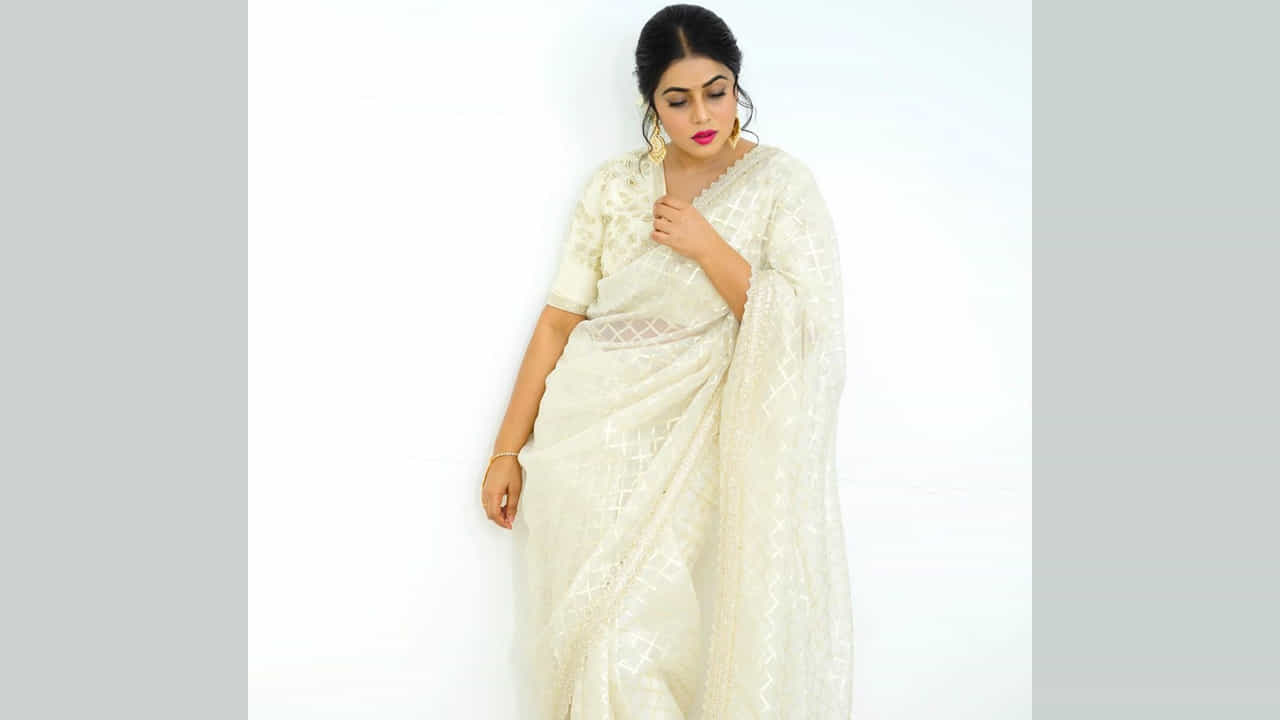 పూర్ణ.. గురించి ప్రత్యేకంగా పరిచయం చేయాల్సిన పనిలేదు. ఓ వైపు టీవీల్లో వివిధ షోల్లో జడ్జీలుగా చేస్తూనే అవకాశం ఉన్నప్పుడల్లా సినిమాల్లో కనిపిస్తున్నారు.