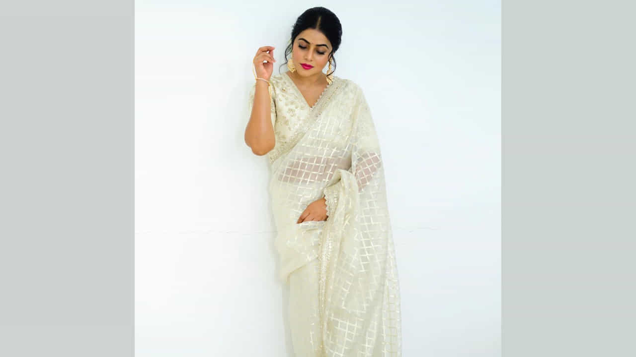 పూర్ణ.. గురించి ప్రత్యేకంగా పరిచయం చేయాల్సిన పనిలేదు. ఓ వైపు టీవీల్లో వివిధ షోల్లో జడ్జీలుగా చేస్తూనే అవకాశం ఉన్నప్పుడల్లా సినిమాల్లో కనిపిస్తున్నారు.