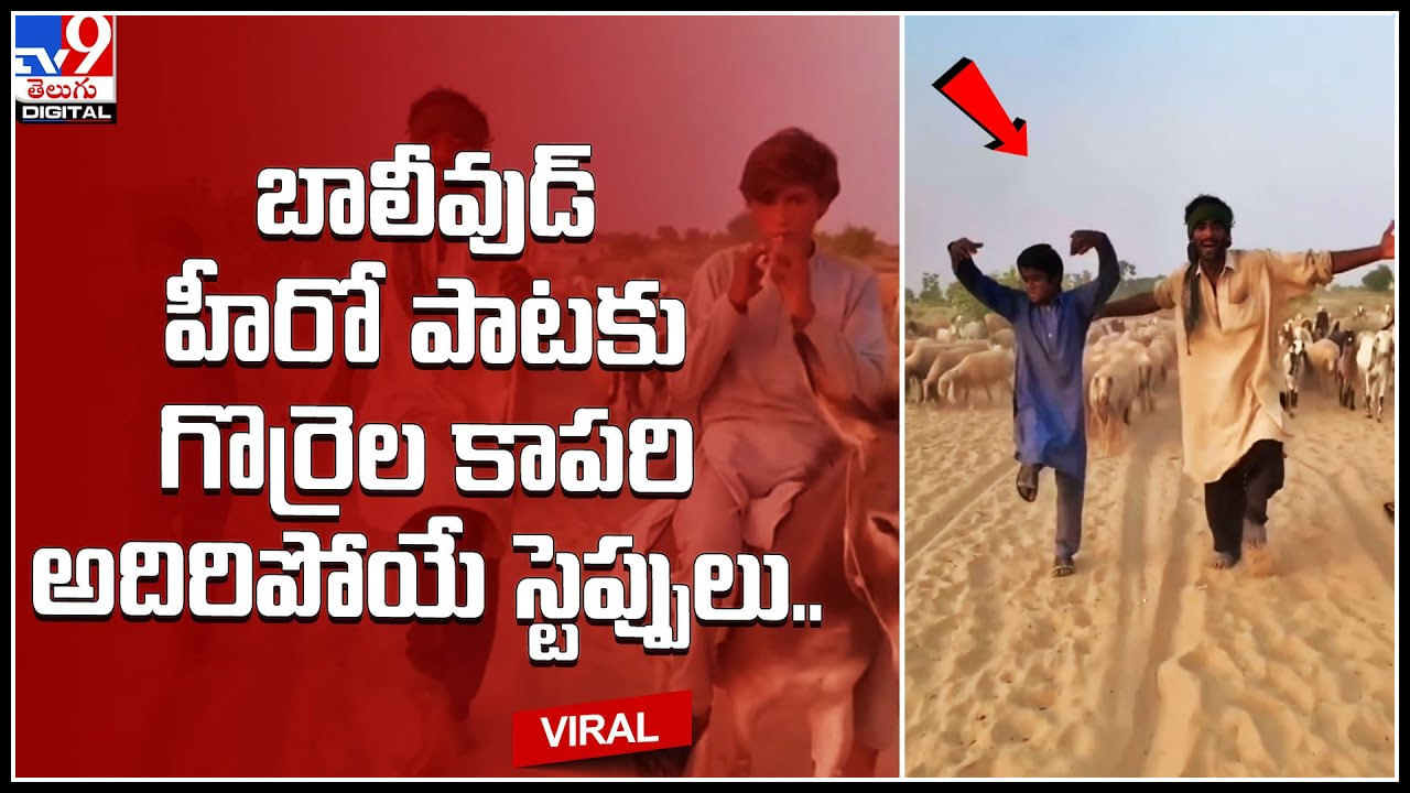 Shepherds Dance: బాలీవుడ్‌ హీరో పాటకు గొర్రెల కాప‌రి అదిరిపోయే స్టెప్పులు.. ట్రెండ్ అవుతున్న వీడియో..