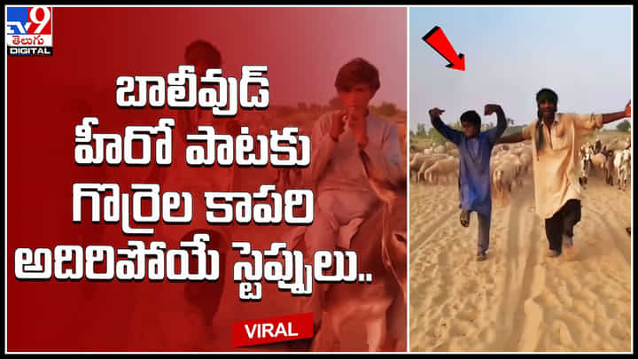 Shepherds Dance: బాలీవుడ్ హీరో పాటకు గొర్రెల కాపరి అదిరిపోయే స్టెప్పులు.. ట్రెండ్ అవుతున్న వీడియో.. Shepherds Dance: బాలీవుడ్ హీరో పాటకు గొర్రెల కాపరి అదిరిపోయే స్టెప్పులు.. ట్రెండ్ అవుతున్న వీడియో..