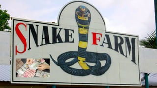 Insurance Policy: కేవలం రూ.500 ప్రీమియంతో రూ.10 లక్షల ఇన్సూరెన్స్‌.. అద్భుతమైన పాలసీ