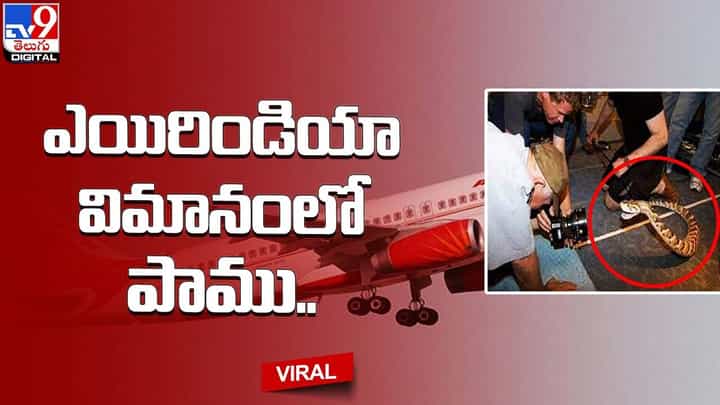 ఎయిర్ ఇండియా విమానంలో పాము కలకలం.. చివరికి ఏమైందంటే ?? ఎయిర్ ఇండియా విమానంలో పాము కలకలం.. చివరికి ఏమైందంటే ??