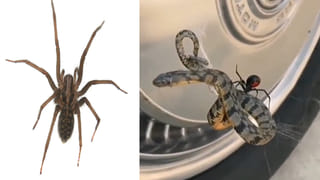 Trending Video: మైకేల్ జాక్సన్ పాటకు ఆటోవాలాల అదిరిపోయే స్టెప్పులు.. సాహో అంటున్న నెటిజన్లు..