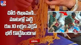 బిడ్డకోసం ఆ తల్లి పడిన తపన.. హార్ట్‌ టచ్చింగ్‌ వీడియో