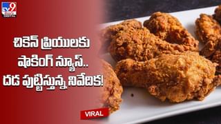 ప్లాస్టిక్ కుర్చిలో ఇరుక్కున్న లేగ దూడ తల.. చుక్కలు చూసింది !!