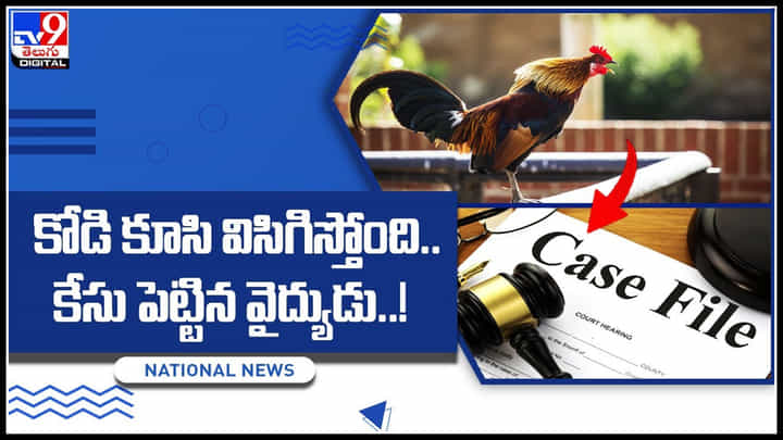 Case on hen: ఇదేం విడ్డురం అయ్యా.. కోడి కూసి విసిగిస్తోందని కేసు పెట్టిన వైద్యుడు..! వైరల్ వీడియో. Case on hen: ఇదేం విడ్డురం అయ్యా.. కోడి కూసి విసిగిస్తోందని కేసు పెట్టిన వైద్యుడు..! వైరల్ వీడియో.