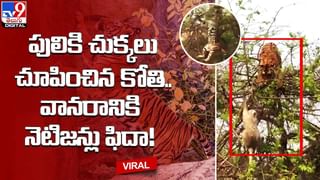 అదుపుతప్పి బైక్ పైనుంచి బస్సు కింద పడిపోయిన యువకుడు.. కానీ ??