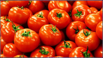 Tomato Effects: టమోటాలు తినే అలవాటుందా..? ఈ సమస్యలుంటే ఇప్పటినుంచే మానేయడం మంచిది.. లేకపోతే..