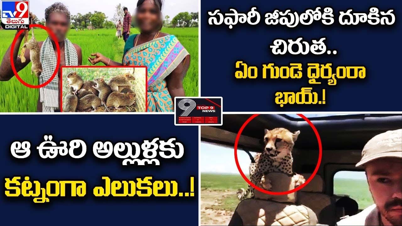 Digital TOP 9 NEWS: సఫారీ జీపులోకి దూకిన చిరుత .! | ఆ ఊరి అల్లుళ్లకు కట్నంగా ఎలుకలు