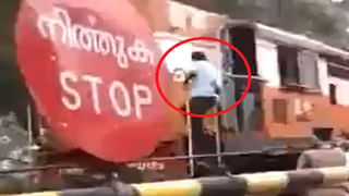 Weird Animals: వీధుల్లో స్వేచ్ఛగా సంచరిస్తున్న వింత జీవులు..  చూసి షాక్‌ అవుతున్న జనాలు.. ఎలా ఉన్నాయో చూడండి..