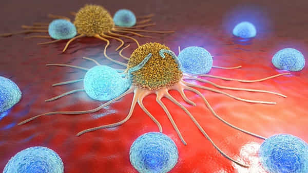 Cancer Symptoms: ఈ శరీర లక్షణాలు క్యాన్సర్ సంకేతాలు కావొచ్చు.. ! నిర్లక్ష్యం చేస్తే ప్రాణాలకే ప్రమాదం..