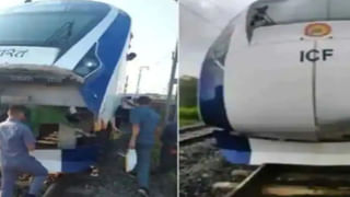 Rat Murder Case: ఎలుక హత్య కేసులో ఊహించని ట్విస్ట్.. పోస్టుమార్టంలో బయటపడ్డ అసలు విషయాలు..