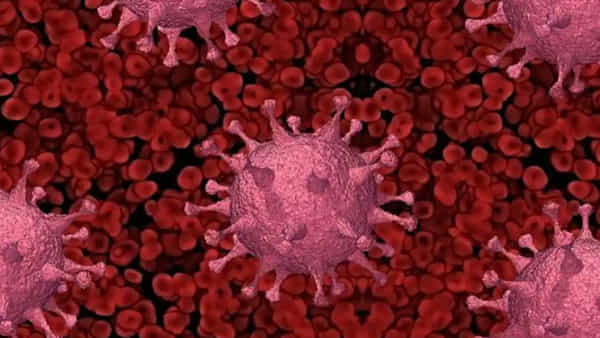 India Coronavirus: బిగ్ బ్రేకింగ్.. భారత్లోకి BF-7 వేరియంట్ ఎంట్రీ.. చైనాను వణికిస్తుంది ఇదే..