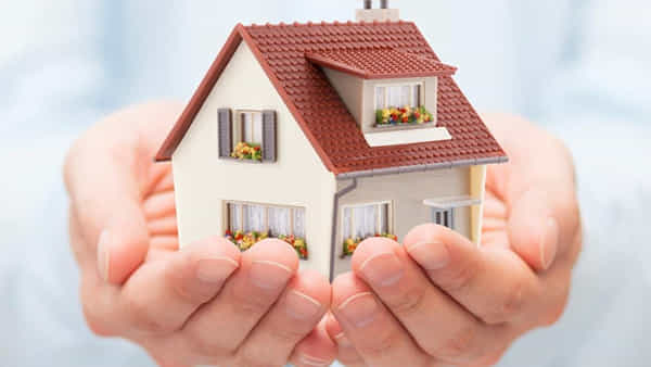 Money Plant Vastu Tips: మనీ ప్లాంట్ను సరైన దిశలో నాటండి... ఈజీగా కోటీశ్వరులవుతారు..!