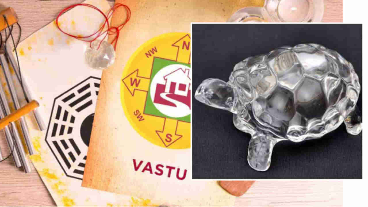 Tortoise Vastu Tips: మీ ఇంట్లో స్పటిక తాబేలును మరిచిపోయి కూడా ఆ దిక్కుగా ఉంచకండి.. అలా చేస్తే ఏం జరుగుతుందో తెలుసా..