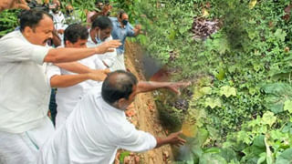 Free Ration: కేంద్ర ప్రభుత్వం ఉచిత రేషన్‌ పథకాన్ని నిలిపివేస్తుందా ? అందుకేనా ఈ నిర్ణయం