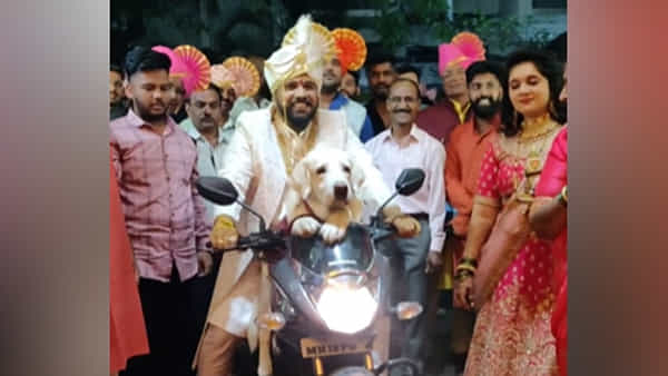 Watch Video: ఇది రియల్ లైఫ్ చార్లీ.. పెంపుడు శునకంపై ప్రేమను ఎలా చాటుకున్నాడో చూడండి.