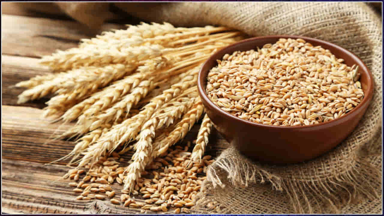 Wheat Prices: సామాన్యులకు షాక్‌.. మళ్లీ గోధుమ ధరలు పెరగనున్నాయా..?