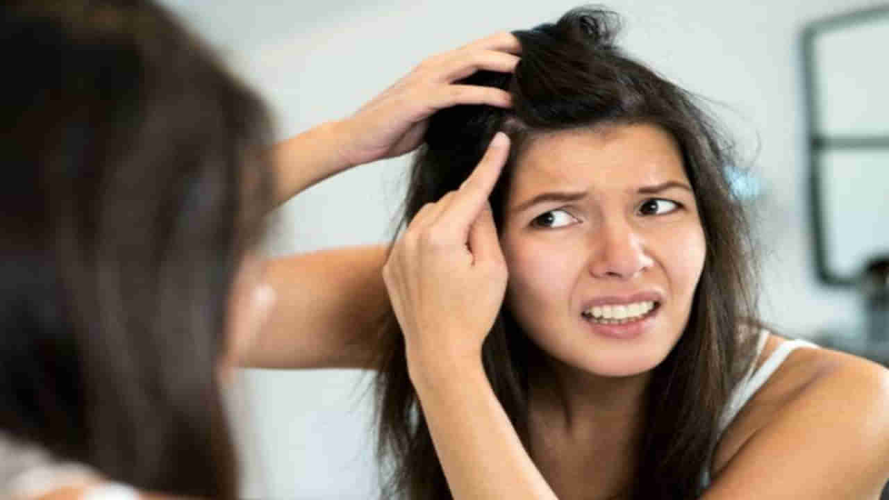 Hair Care: తెల్లని జుట్టు తిరిగి నల్లబడుతుందా..? ఈ చిట్కాలను పాటిస్తే మీ సమస్యకు పరిష్కారం దొరికినట్లే..