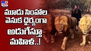 ఇదేం చికెన్ కుర్మా !! మండిపడుతున్న నెటిజ‌న్లు