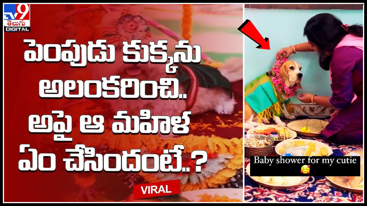 Dog baby shower:  పెంపుడు కుక్కను అలంకరించి..అపై ఆ మహిళ ఏం చేసిందంటే..? వీడియో..
