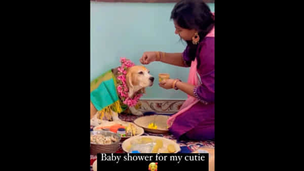 Watch Video: పెంపుడు కుక్కను అలంకరించి..అపై ఆ మహిళ ఏం చేసిందంటే..? వైరల్ అవుతున్న వీడియోను మీరే చూడండి..