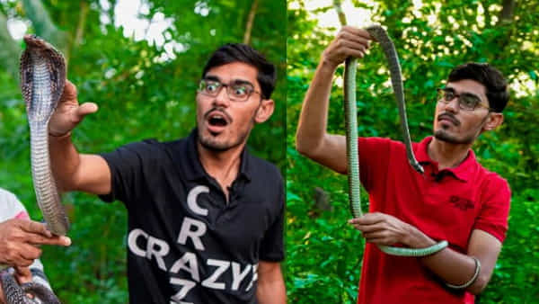 YouTuber Amit Sharma: పాముకాటుకు గురైన ప్రముఖ యూట్యూబర్.. వీడియోలతో నెలకు 9 కోట్లకుపైనే ఆదాయం..