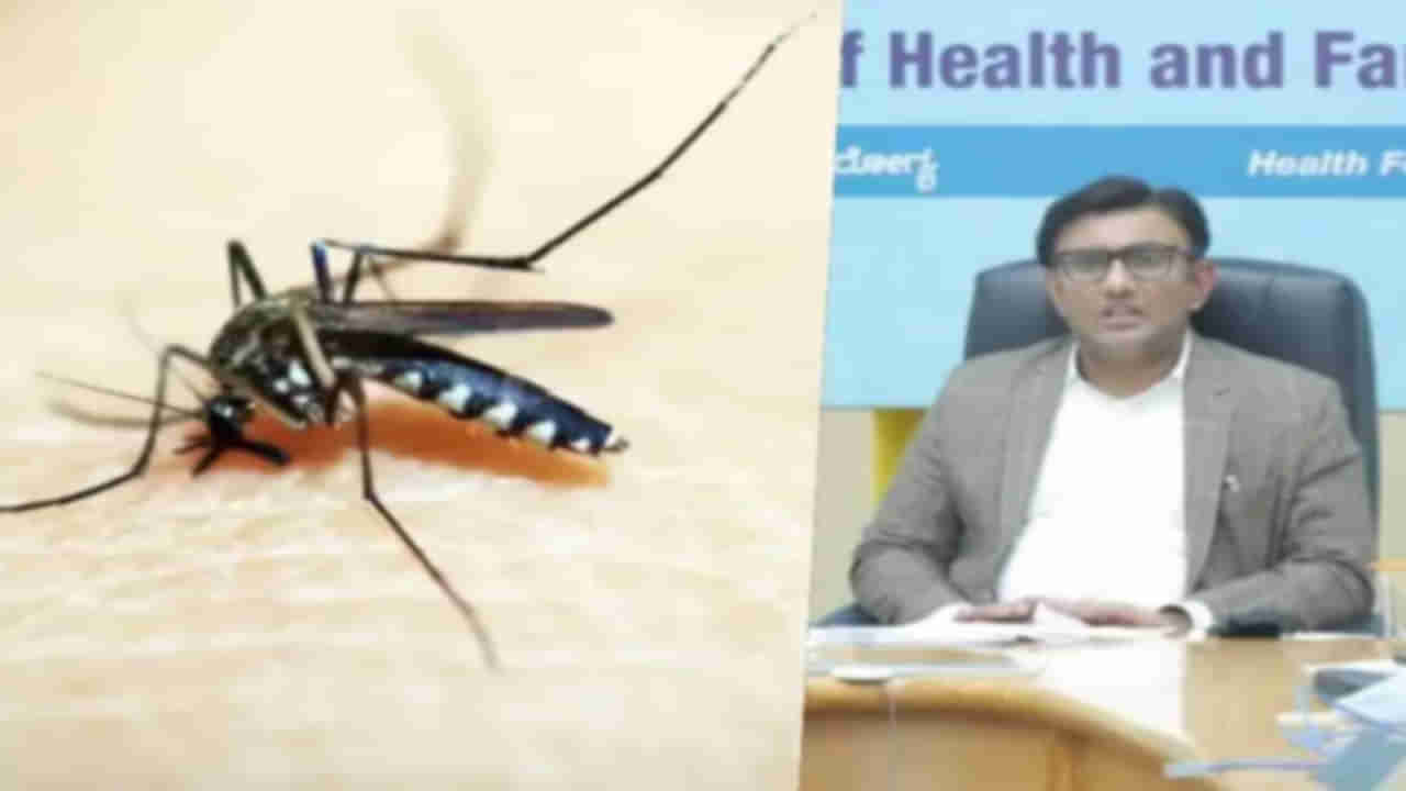 Zika Virus: రాష్ట్రంలో మొదటి జికా వైరస్ కేసు నిర్ధారణ.. ఆందోళన చెందవద్దని ఆరోగ్య మంత్రి సలహా..