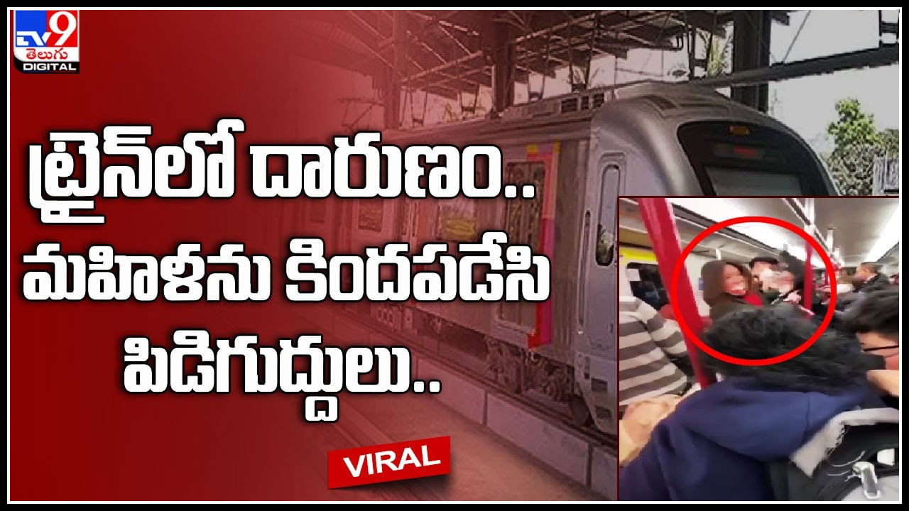 Woman in Metro: అయ్యాయో వీడియో ఏంటి ఇలా ఉంది.. ట్రైన్‌లో దారుణం.. మహిళను కిందపడేసి పిడిగుద్దులు..